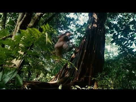 Apocalypto (2006) Full Action Scene | Legendary Jungle Escape