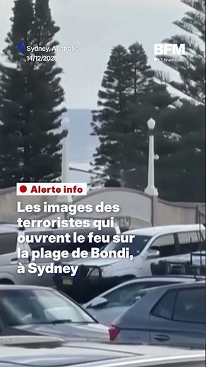 Australie: les images des terroristes qui ouvrent le feu sur la plage de Bondi, à Sydney