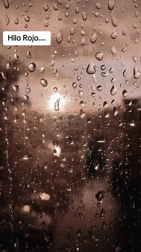 Videos de Dic (@dic1822) con “sonido original - Amor eterno”