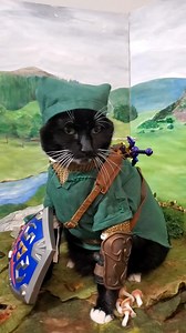 208K views · 5.7K reactions | "Hrrit! Hai! Hiyah! HUP! Meow!" ~ Lynx, Legendary hero of Hyrule #LegendOfZelda | Cat Cosplay | Facebook