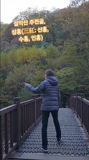 🍁설악산 오색약수\\주전골계곡 \\선녀탕 \\용소폭포​, 편도 약 2.8km (왕복 약 5.6km)​, 소요시간: 왕복 약 2시간~2시간 30분 2025.10.27