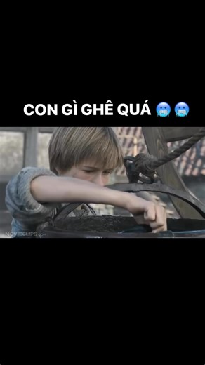 Con gì ghê quá :(( ✅ Link phim trong cmt | Vkool - Phim HD Hay