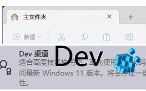 【教程】如何在不支持的设备上强制启用 Win11 Dev 频道？