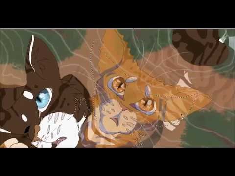Hawkfrost's Death (Warrior Cats Speedpaint)