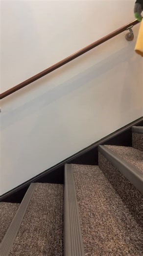 I think the pants got lost in the mail? | Blitz the Seahawk