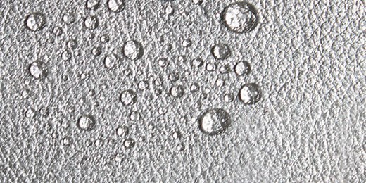 Overture - Edea Skates