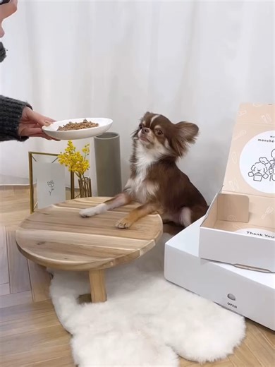 Guía Paso a Paso de Realidad Aumentada