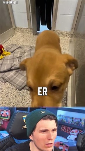 Endlich wurde er adoptiert