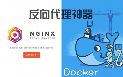 【Docker系列】一个反向代理神器——Nginx Proxy Manager