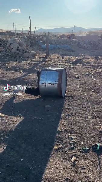 Mongolian Culture Highlights in TikTok Videos
