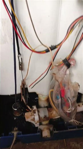 Lg Washing Machine Service in Home #lg