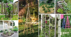 20 Amazing DIY Plant Supports and Cages To Make Your Summer Garden Thrive