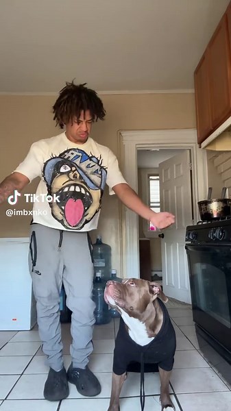 #fyp #bxnko #viral | dances to learn