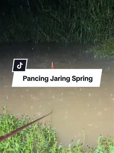 The Best Fishing Nets for Catching Fish