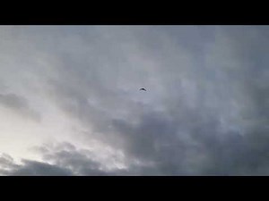 FPV wing racer VTOL tailsitter takeoff