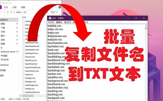 怎么把全部文件名当做一段文本复制到记事本里？不能一条一条地逐个复制……