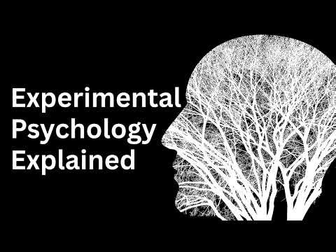 Experimental Psychology Explained – How Scientists Study the Mind