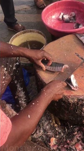 Barracuda fish cutting skills. #fish #shorts