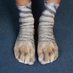 15K views · 35 reactions | We all know an animal lover who'd want these paw socks! Get yours here: https://bluecrate.com/products/animal-paw-socks/?aff=149 | Whisper | Facebook