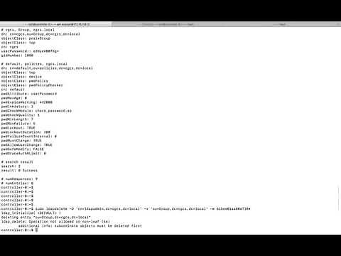 How to Search and Delete LDAP Entry