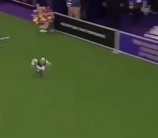 Shrek Running Memes Compilation