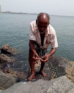 24M views · 124K reactions | old Man Reveals the Secret Fishing Technique to Catch Big Fishes #fishing #fishingvideos #thoondilulagam #seafishing | Thoondil Ulagam - Fishing | Facebook