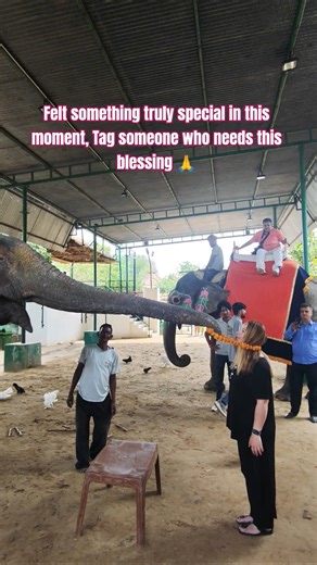 Elephant Gives Blessings in the Most Beautiful Way. #india #travel #elephantsanctuary