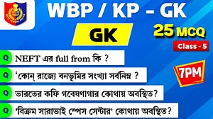 One Year Study on Reels