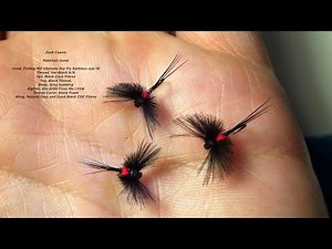 Tying the CDC Black Caenis by Davie McPhail