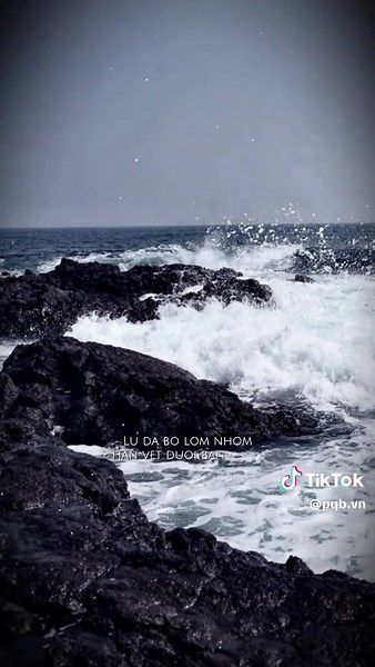 Bạn đang tìm mẫu này ! #pqbvn #CapCut #xuhuong #capcutmaster #nhachaymoingay