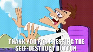 Thank you for pressing the self-destruct button.