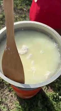 Real Mozzarella in 30 Minutes! Fresh Milk + Vinegar = Magic