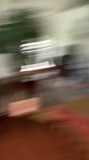 Plumosa Asparagus Fern Care Tips for Beginners