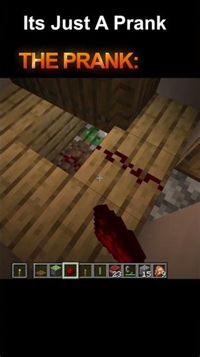 Sorry Minecraft Villager #minecraft #pranks #traps #shorts