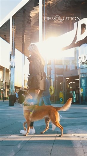 2025 has taught me this… Dogs don’t fail. Systems do. Environments matter more than tricks. Consistency beats intensity every time. And progress will always outperform perfection. This year reinforced something I see over and over again in real world training. Dogs aren’t ‘stubborn’ or ‘untrainable’. They’re simply being asked to succeed in environments they were never properly prepared for. We train in quiet spaces… Then expect reliability in chaos. We chase perfect reps… Instead of sustainable