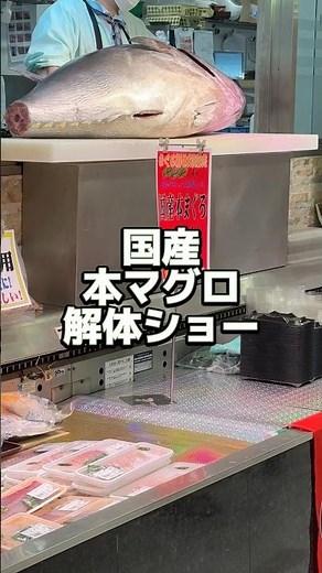 『マグロ解体』超貴重映像！国産鮪の解体ショーが圧巻！職人の技！Tokyo！maguro#マグロ #解体 #刺身 #国産 #職人 #東京 #本マグロ #上野 #show #tokyo #japan#魚