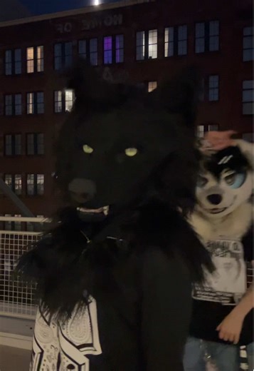 Understanding Furry Culture: A Unique Community