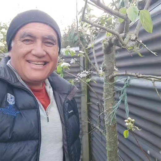 4.6K views · 134 reactions | Removing root stock growth  . It pays...