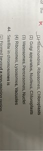 Satellite in chromosomes is:(1) Formed beyond a non-staining r... | Filo