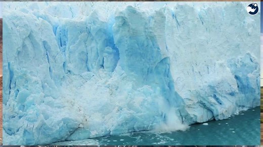 Should Scientists Clone Extinct Predators to Fix Overpopulated Ecosystems?