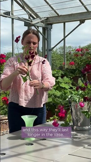 Try this sweet pea arrangement