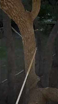 Tree Net Main Loft Perimeter