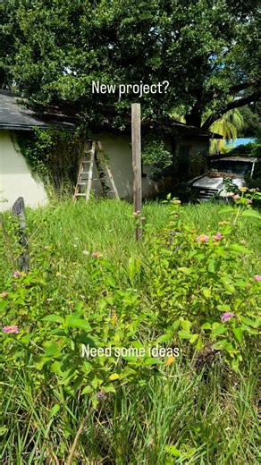 Dre on Instagram: "Picking up this fox body from a family member who’s passed, any ideas? . . . . . . . #foxbody #mustang #ford #s #foxbodymustang #fordmustang #foxbodysonly #mustanggt #fordperformance #fordracing #dragracing #mustangs #cobra #foxbodynation #mustangsofinstagram #sn #gt #mustangfanclub #v #turbo #americanmuscle #streetcar #fox #musclecar #notchback #foxbodyaddicts #mustanglife #lmr #coupe #gang"