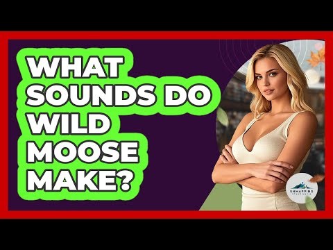 What Sounds Do Wild Moose Make?