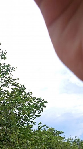 Hemerson Carvalho Pereira on Instagram: "E aí quem tá comigo nessa? #civic #g9 #overtuning #turbo"