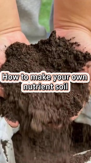 #garden#gardening #gardeningtips #planting #plants #plant | Garden & Planting Tips