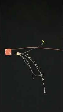 Kite Came Down Scribbling on the Dwarf's Line