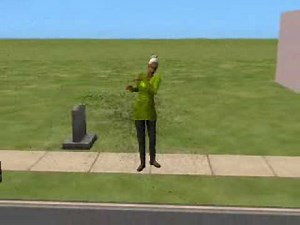 Death By flies sims 2