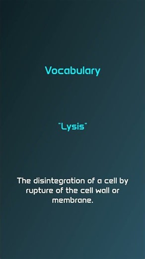 HESI Exam Prep: English, Reading and Vocabulary #8 #Shorts