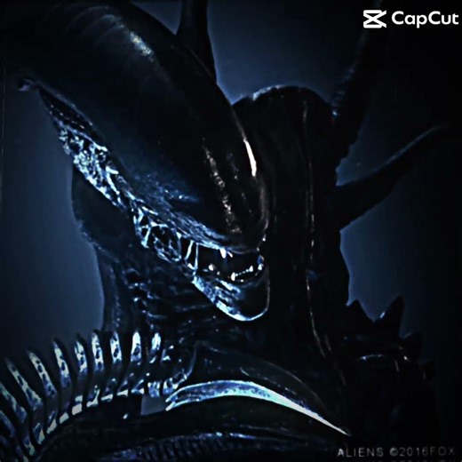 Alien vs predator